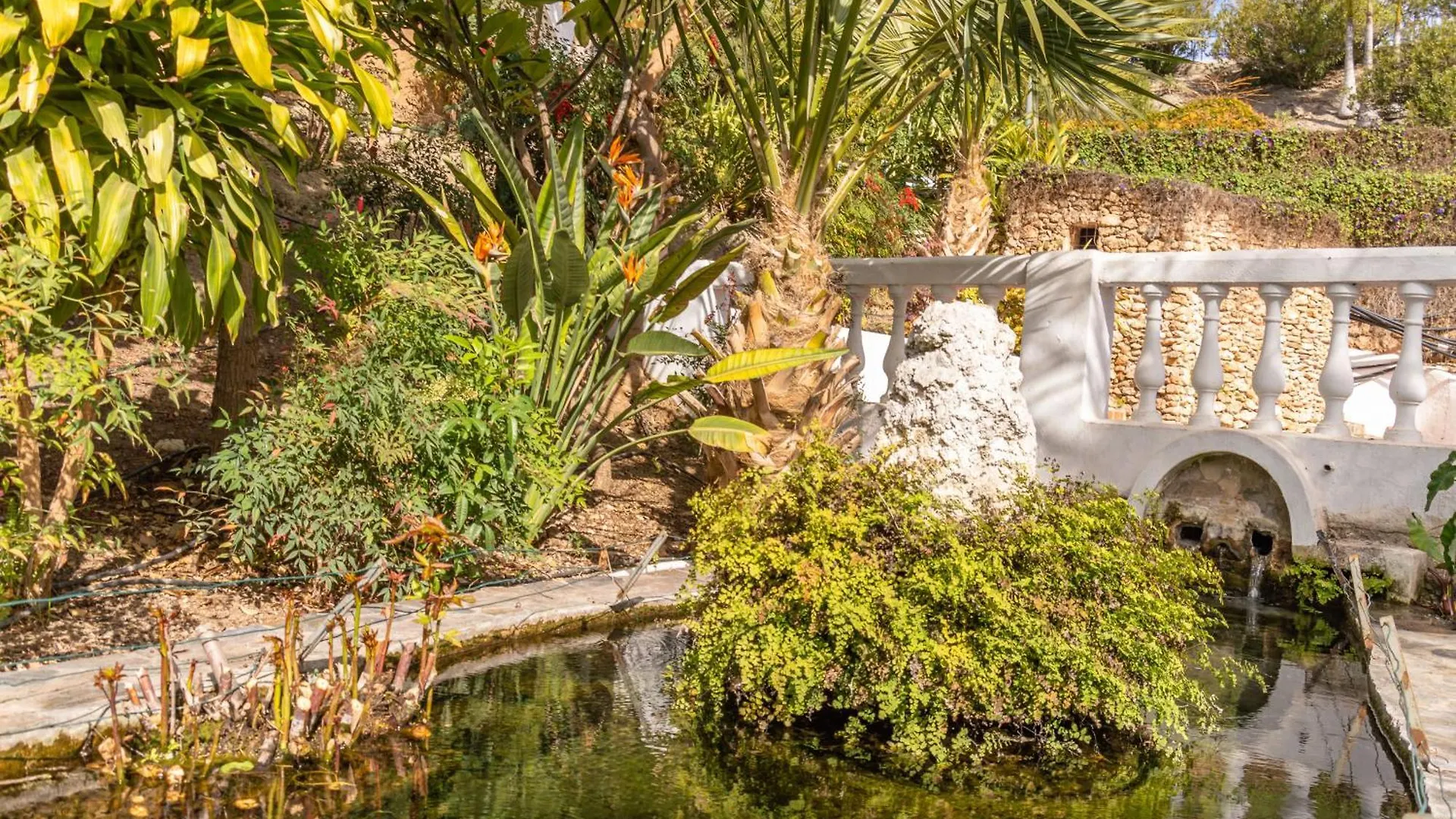 Las Palmas 4B Oasis Properties ネルハ