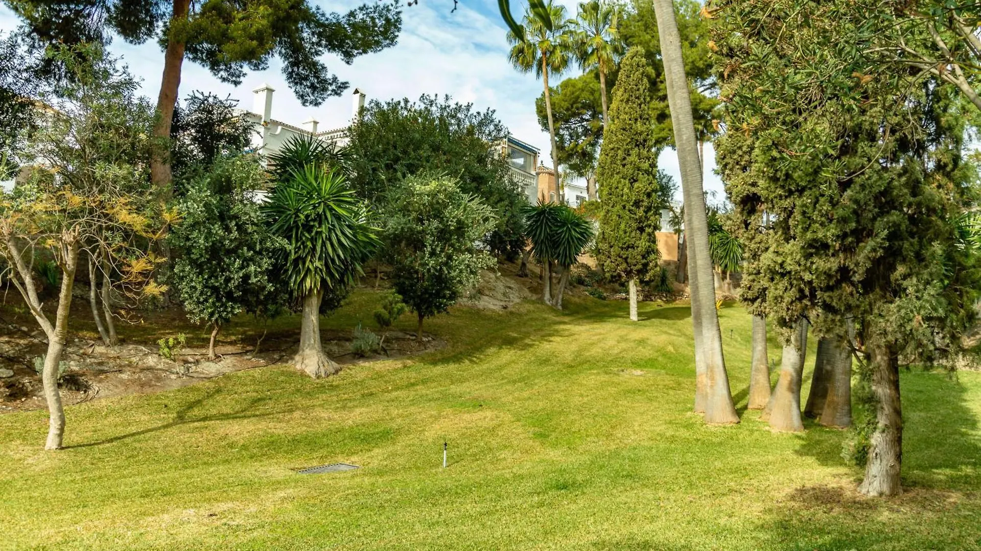 Las Palmas 4B Oasis Properties ネルハ
