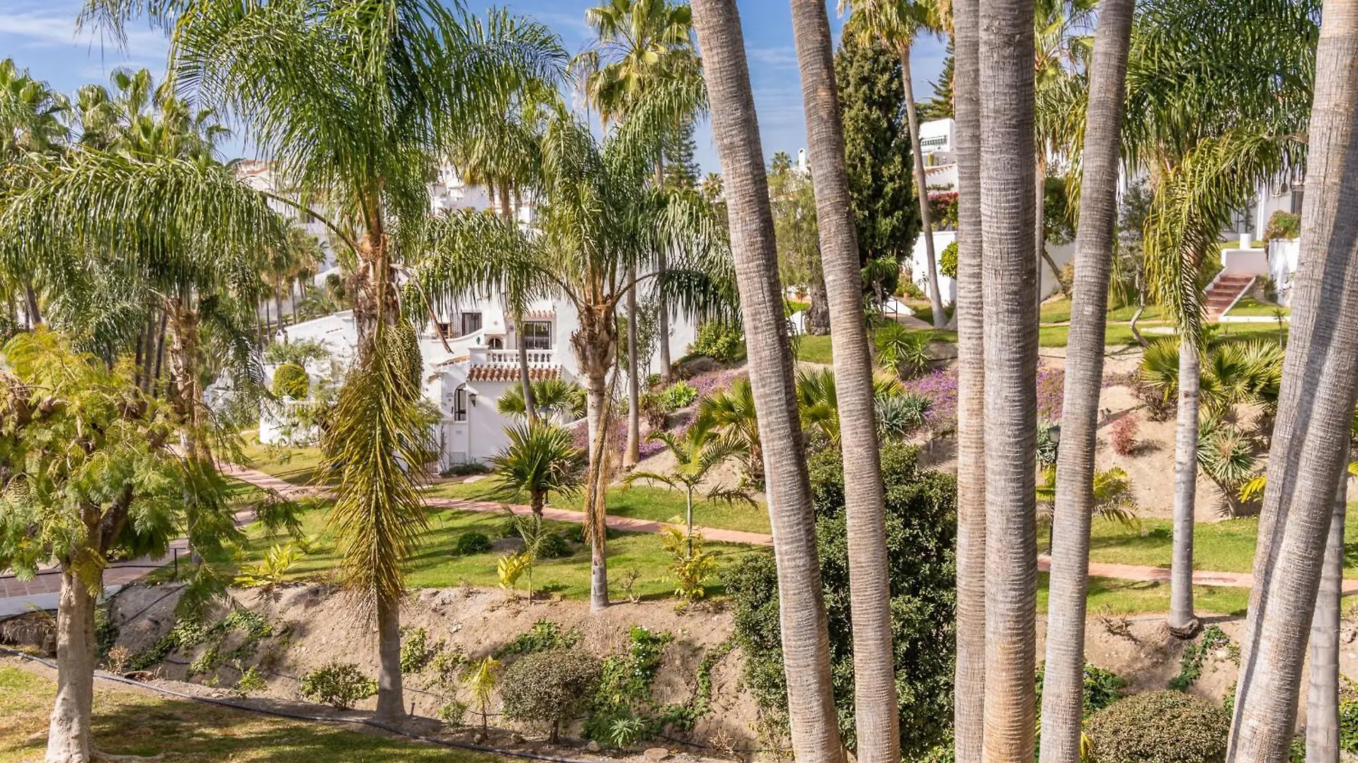 Las Palmas 4B Oasis Properties ネルハ アパート